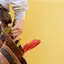 Handyman repair service in Arvada, CO for home fixes and improvements