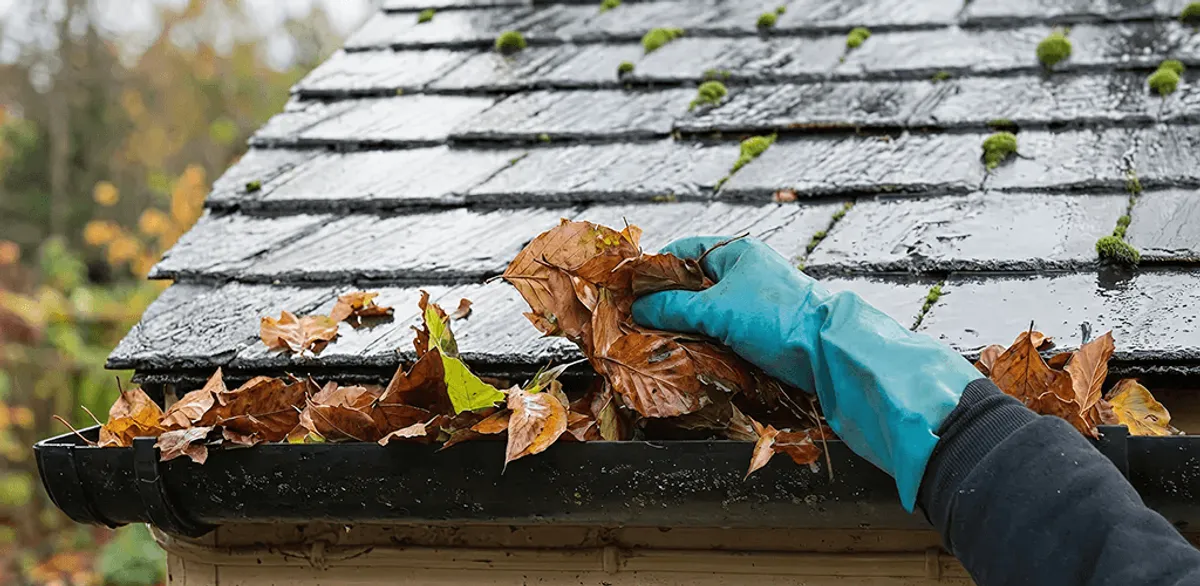 Gutter cleaning technician clearing wet leaves from roof gutters in Arvada, CO